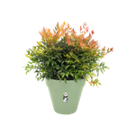 loft urban rund 30cm pistazien grün